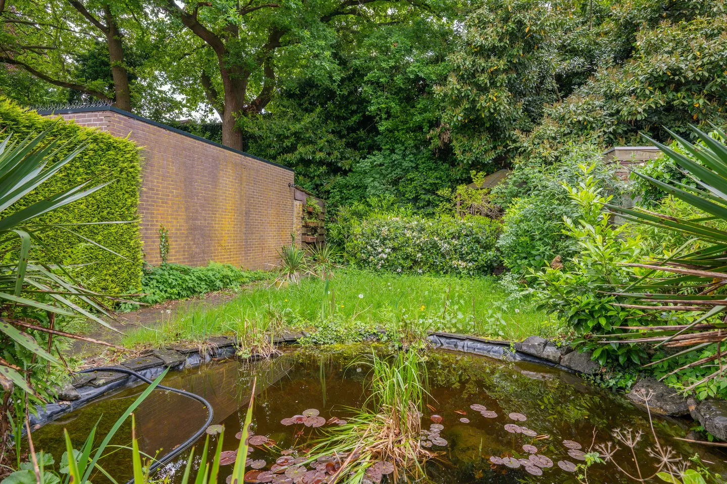 Veestraat 9 Grubbenvorst thumbnail 32