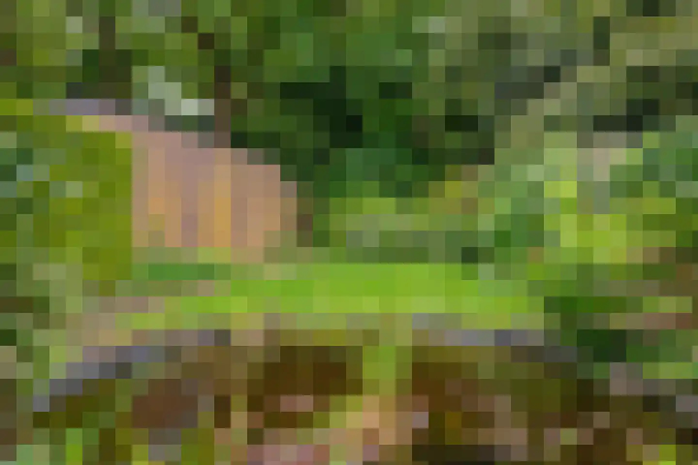 Veestraat 9 Grubbenvorst thumbnail 32