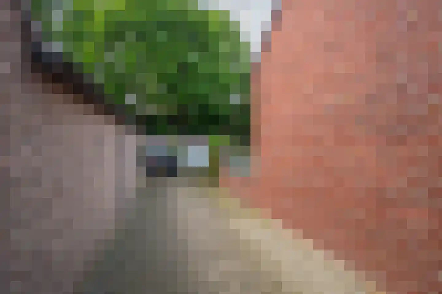 Veestraat 9 Grubbenvorst thumbnail 36