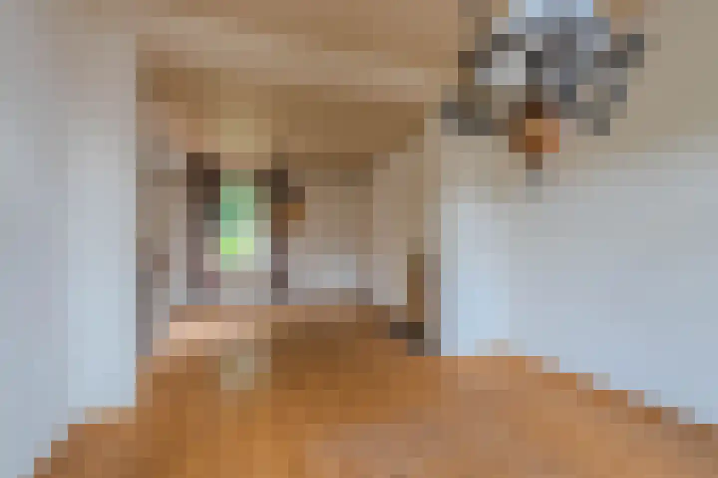 Veestraat 9 Grubbenvorst thumbnail 7
