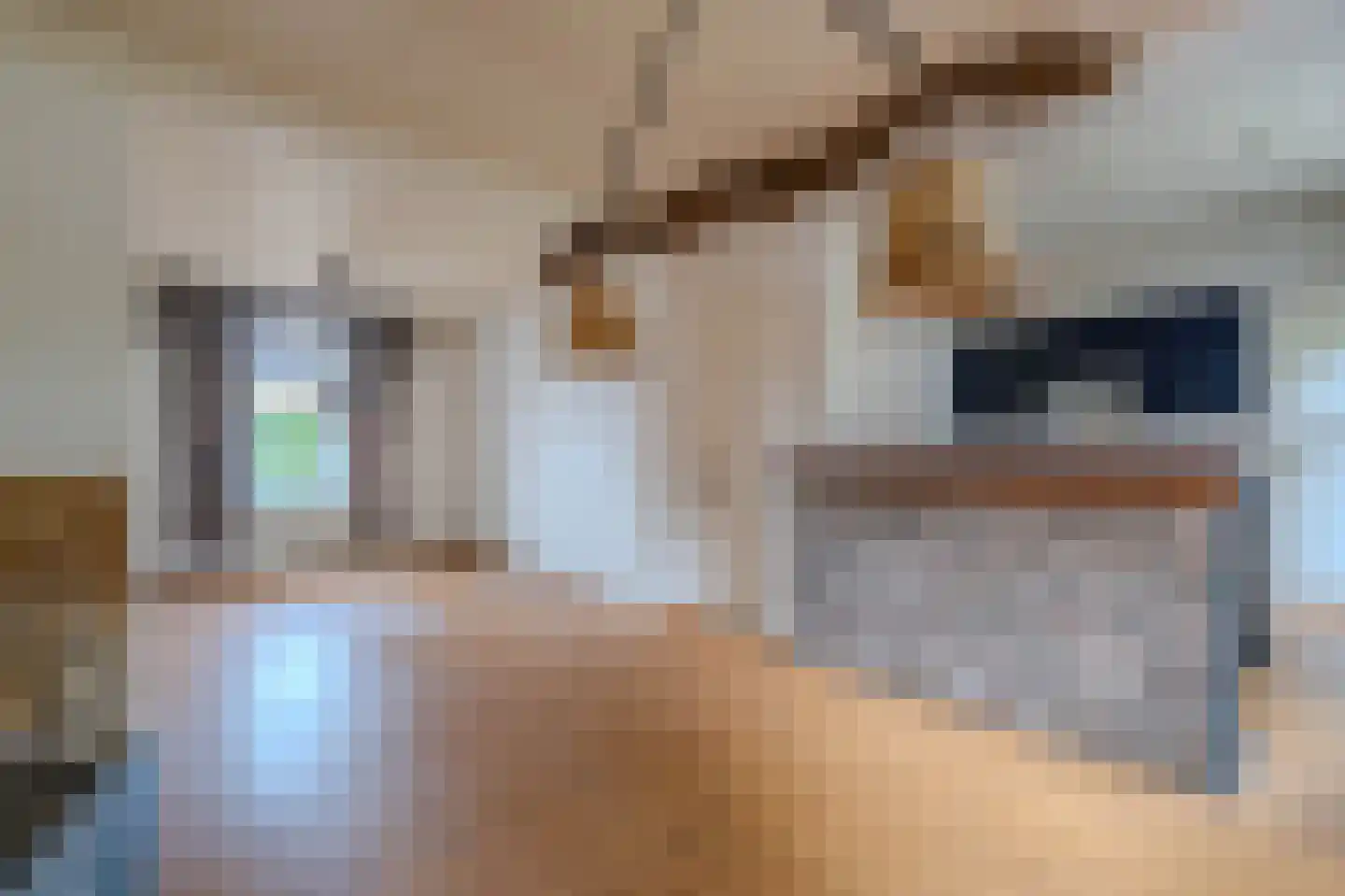 Veestraat 9 Grubbenvorst thumbnail 8