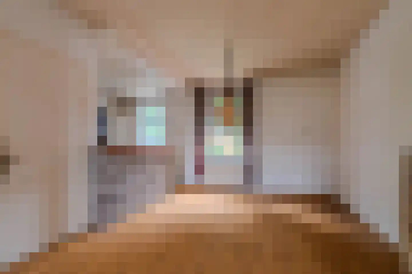 Veestraat 9 Grubbenvorst thumbnail 9