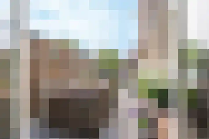 Veestraat 91 Tilburg thumbnail 24