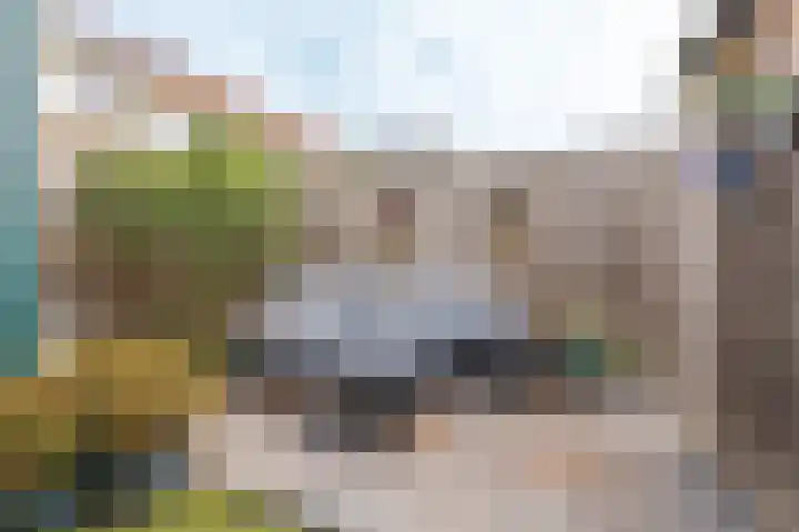 Veestraat 91 Tilburg thumbnail 25
