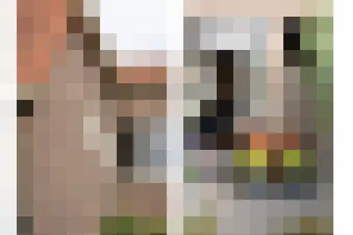Veestraat 91 Tilburg thumbnail 26