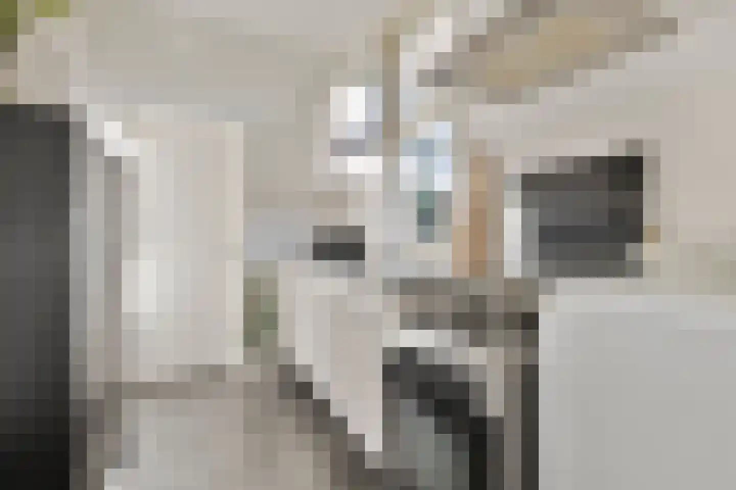 Veestraat 95 Tilburg thumbnail 10