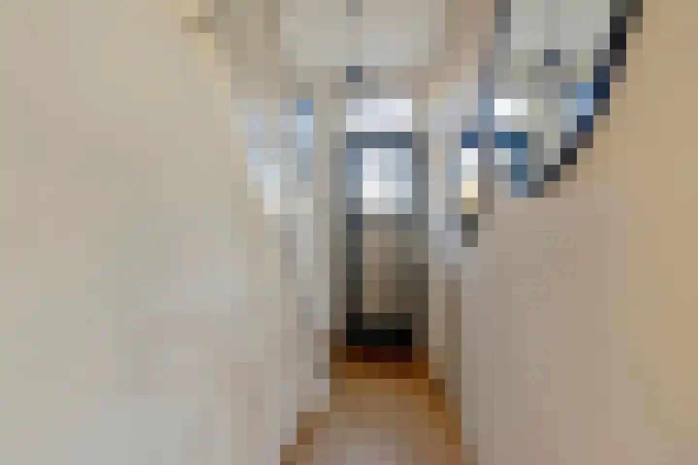 Veestraat 95 Tilburg thumbnail 13