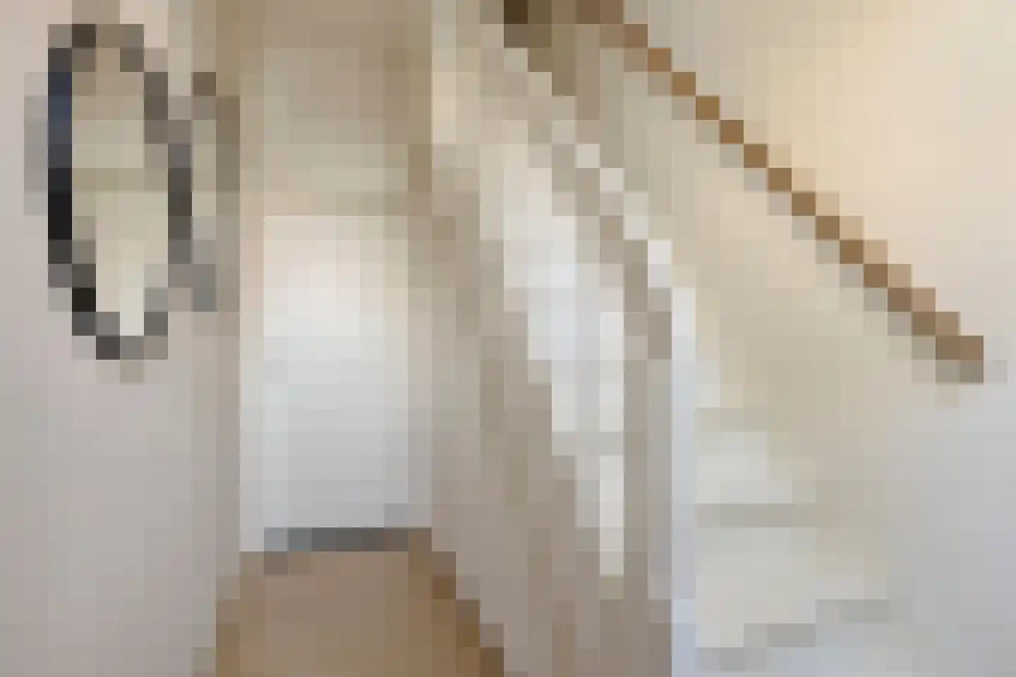Veestraat 95 Tilburg thumbnail 15