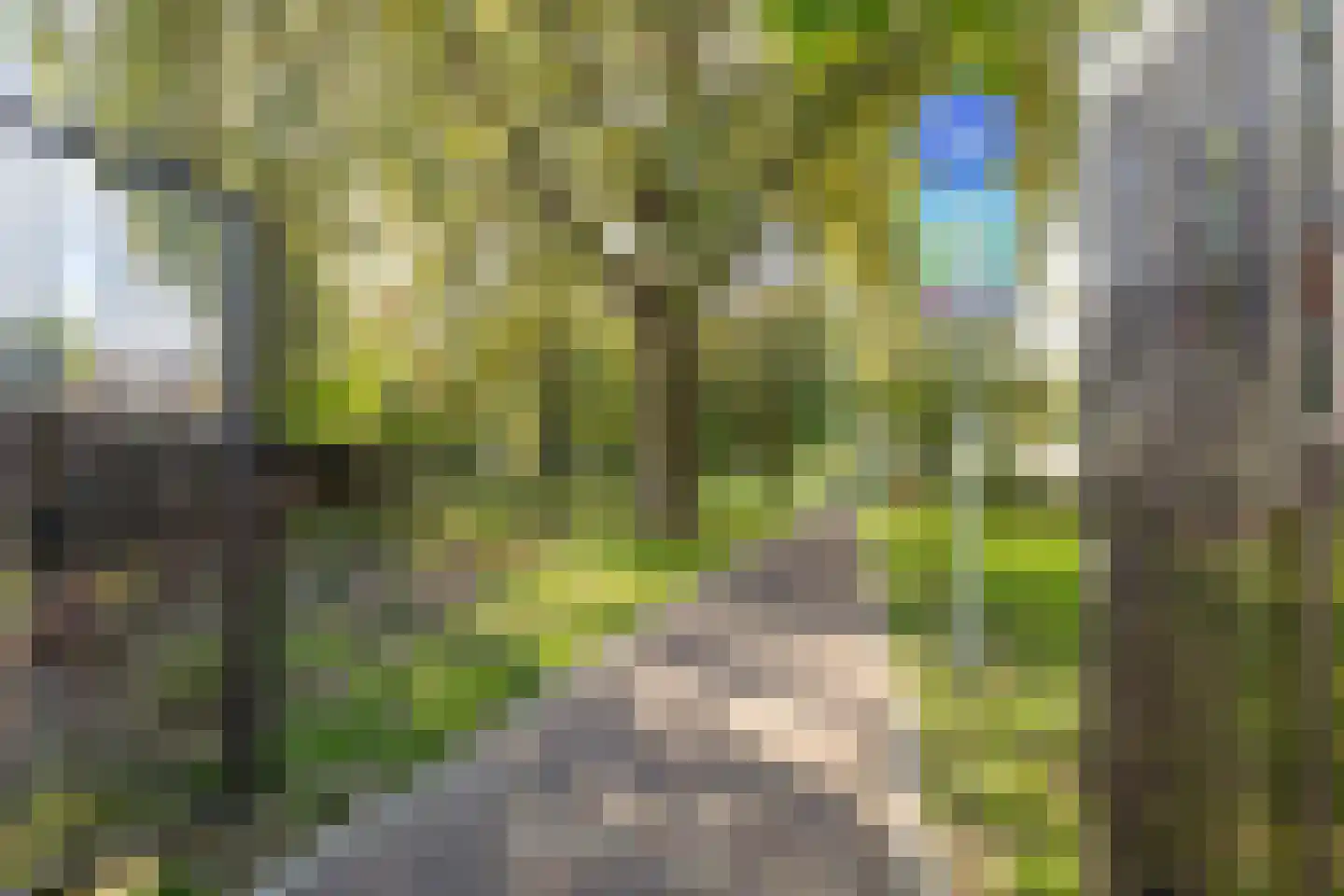 Veestraat 95 Tilburg thumbnail 35