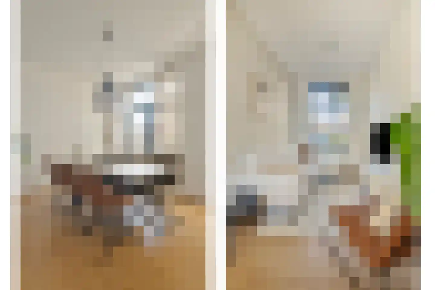 Veestraat 95 Tilburg thumbnail 6