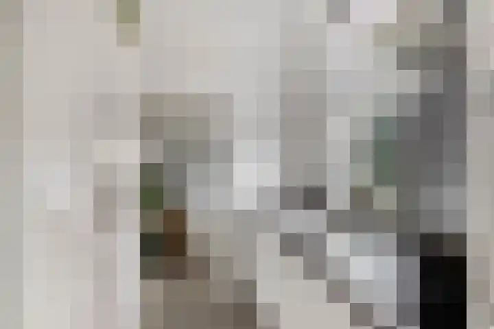 Veestraat 99 Tilburg thumbnail 10