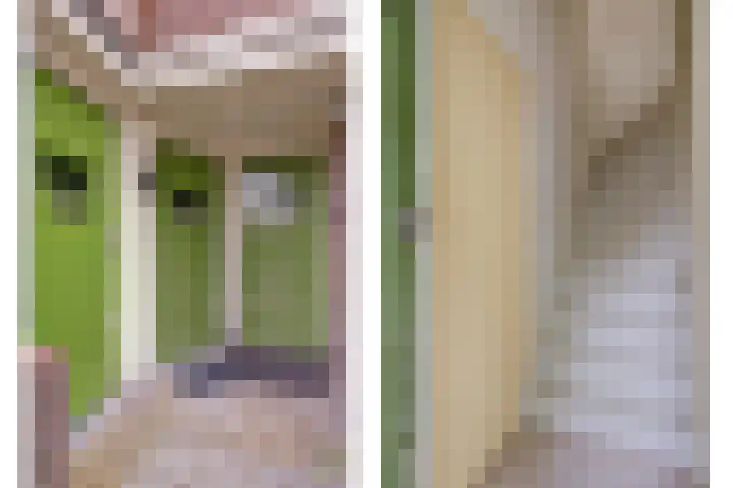 Veeteeltstraat 113 B Amsterdam thumbnail 6