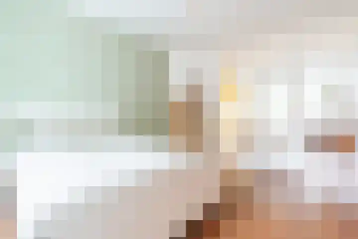 Veeteeltstraat 12 A Amsterdam thumbnail 21