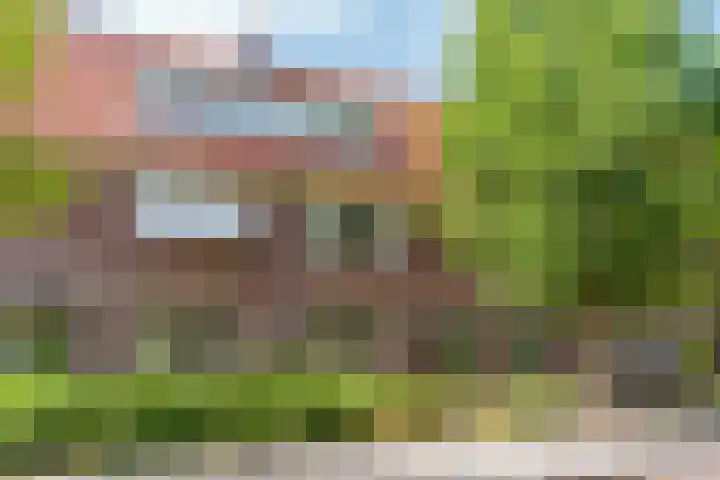 Veeteeltstraat 12 A Amsterdam thumbnail 27
