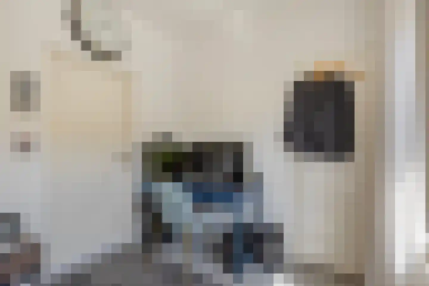Veeteeltstraat 12 B Amsterdam thumbnail 18