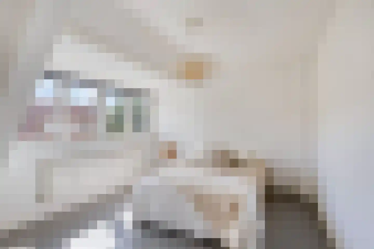 Veeteeltstraat 12 B Amsterdam thumbnail 23