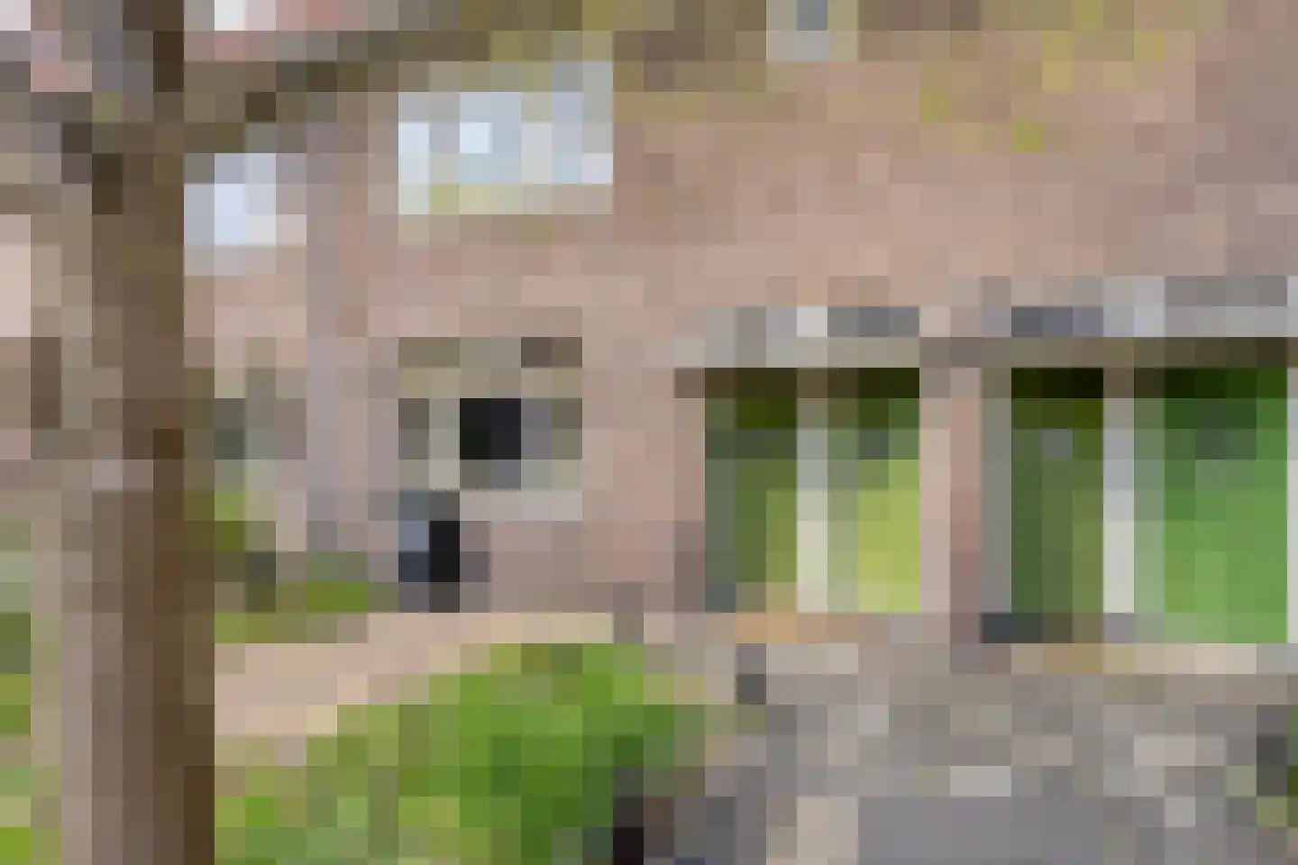 Veeteeltstraat 12 B Amsterdam thumbnail 29