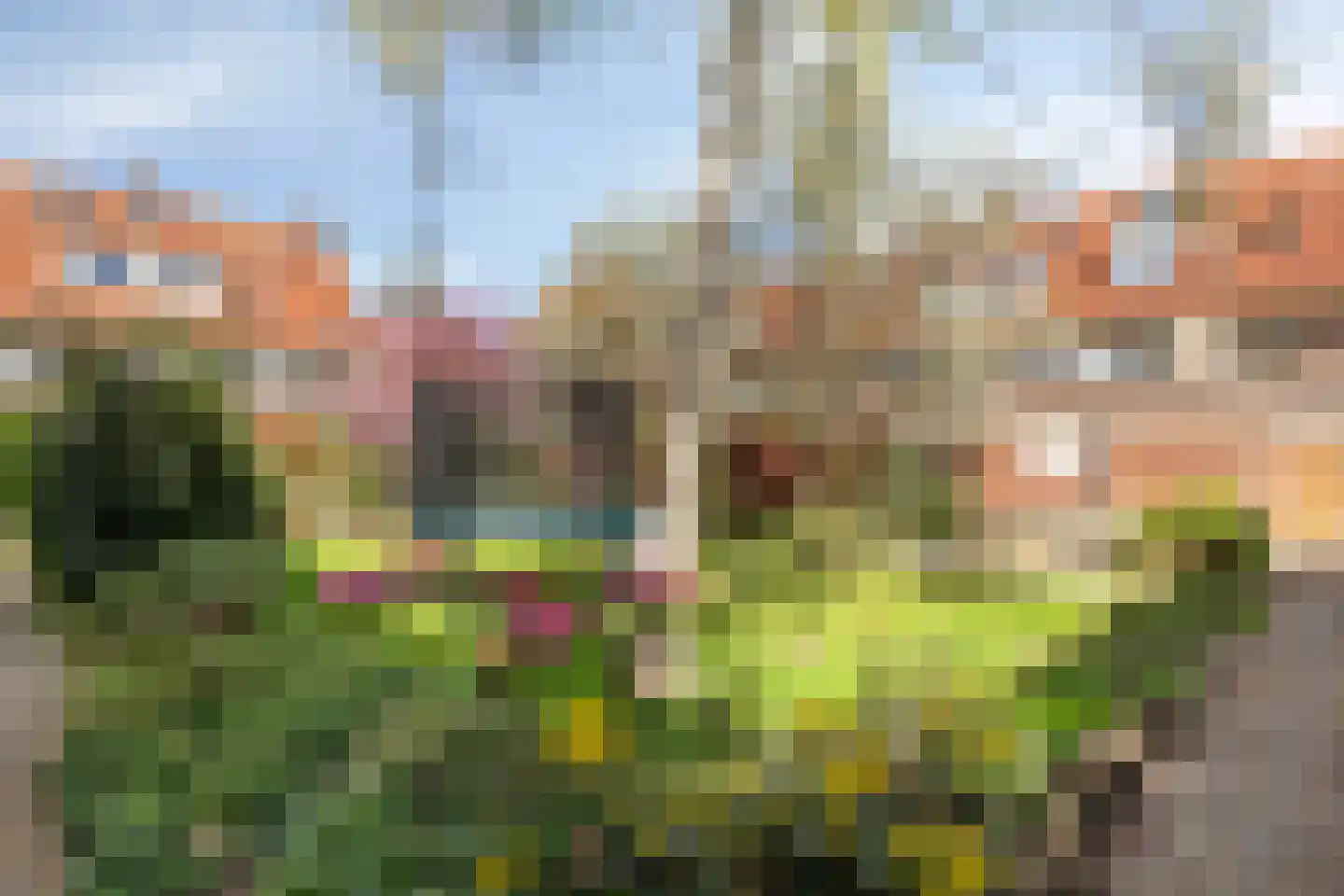 Veeteeltstraat 12 B Amsterdam thumbnail 33