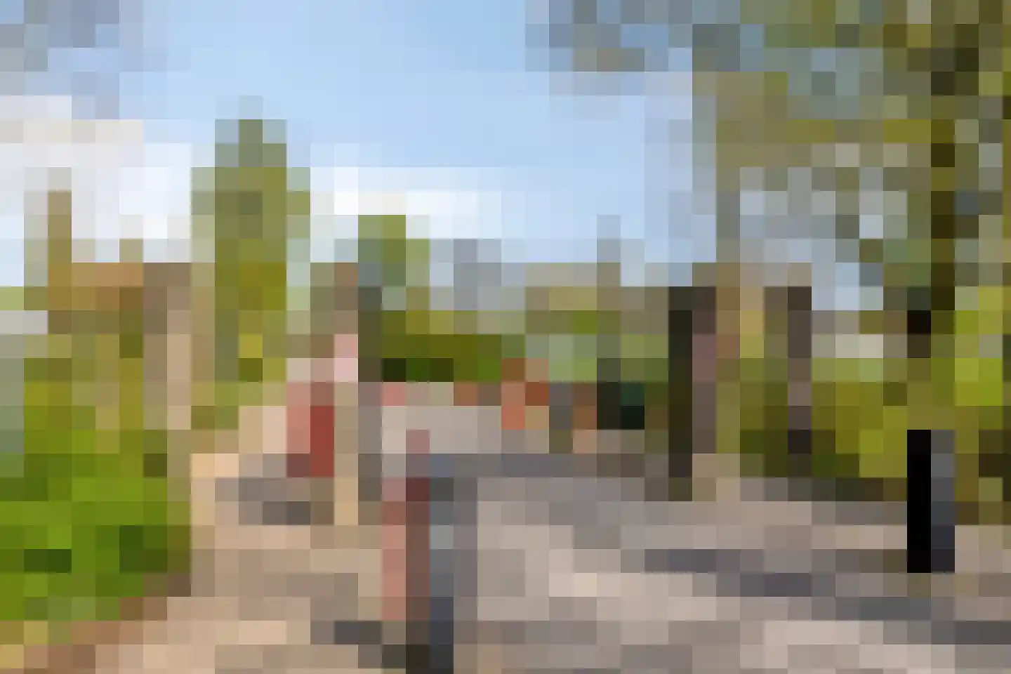 Veeteeltstraat 12 B Amsterdam thumbnail 35