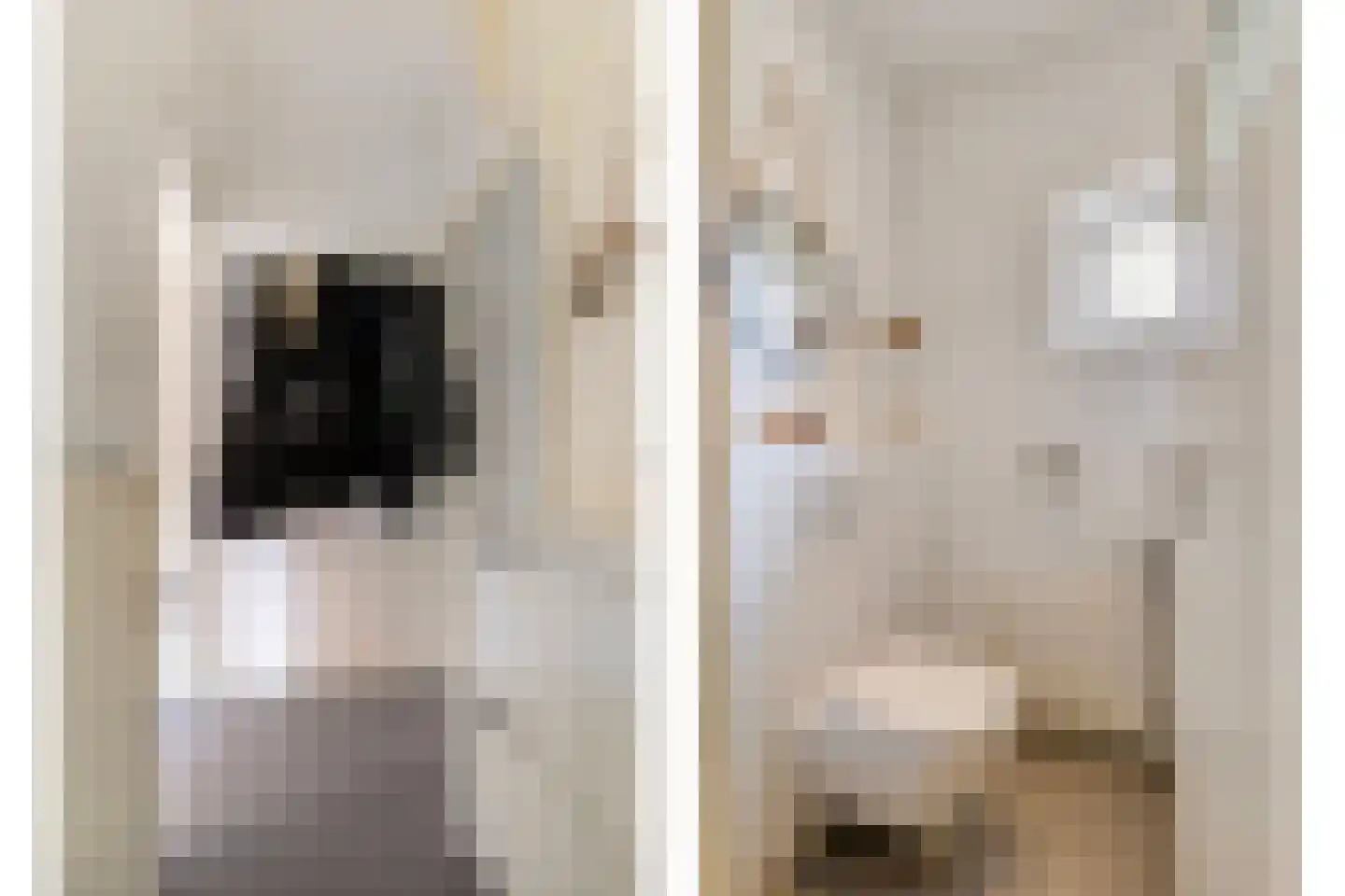 Veeteeltstraat 12 B Amsterdam thumbnail 7
