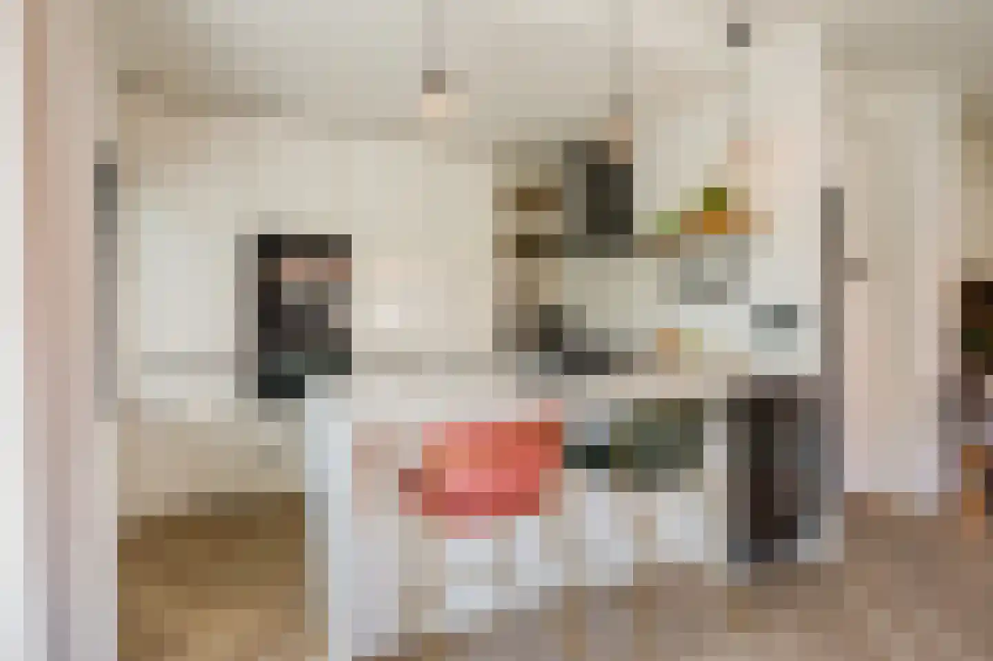 Veeteeltstraat 23 Amsterdam thumbnail 12