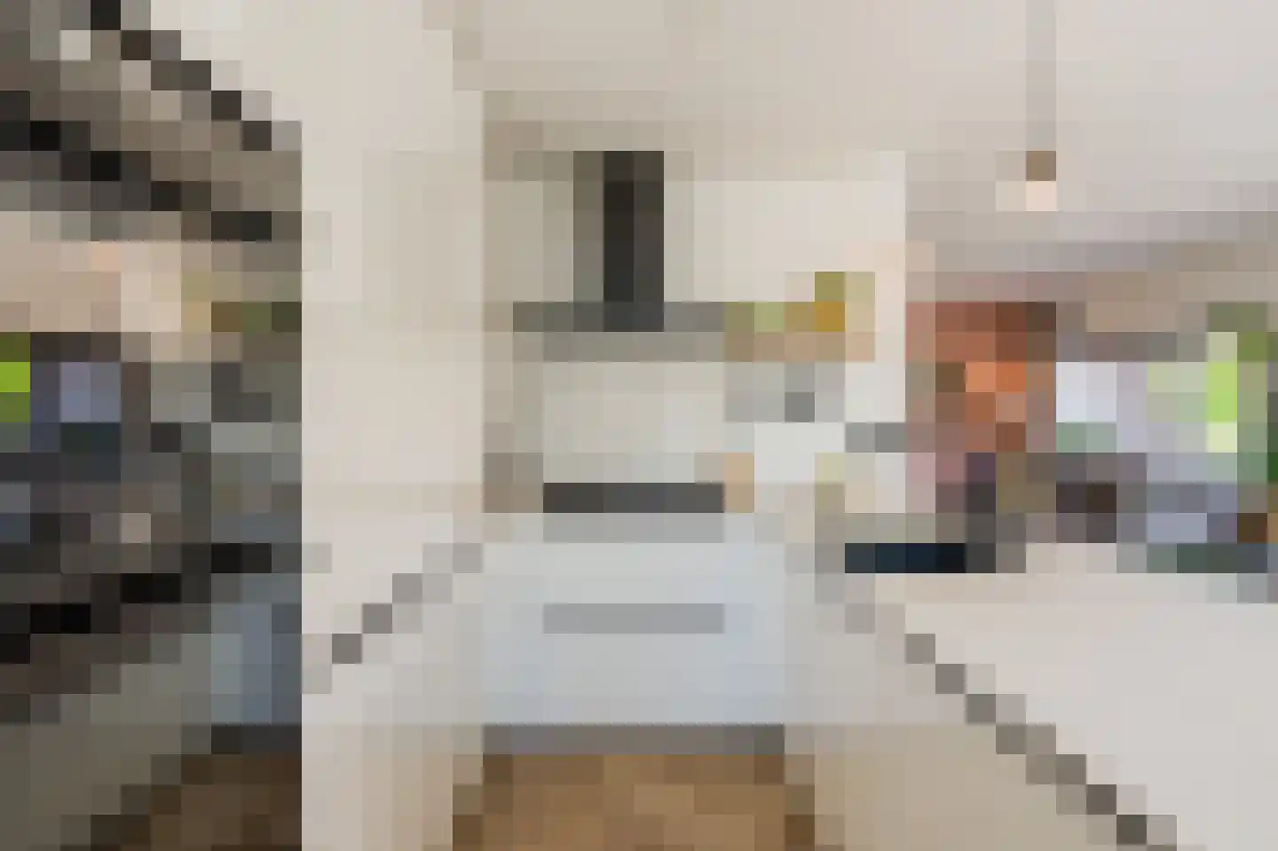 Veeteeltstraat 23 Amsterdam thumbnail 13