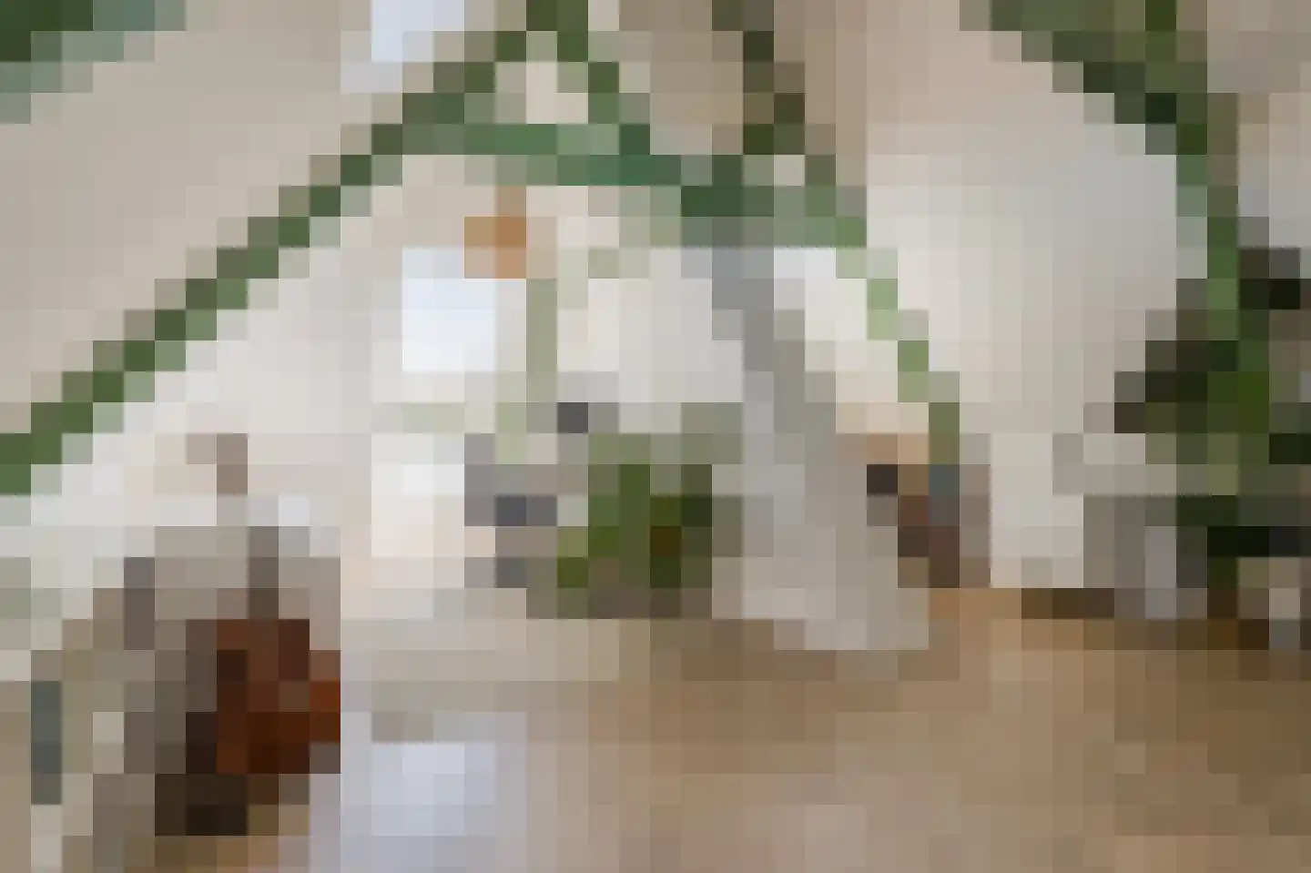 Veeteeltstraat 23 Amsterdam thumbnail 34