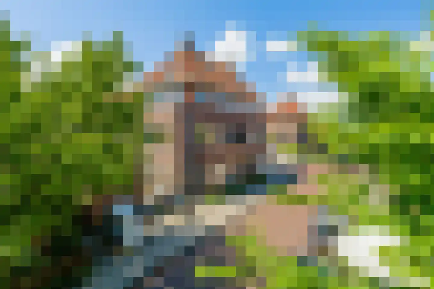Veeteeltstraat 23 Amsterdam thumbnail 43