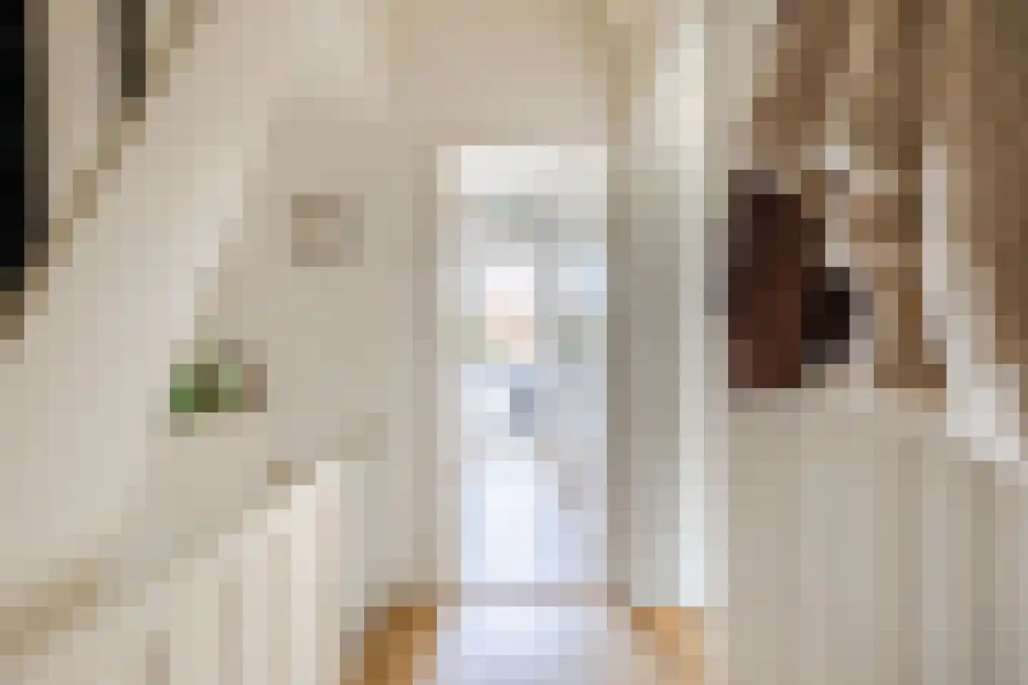 Veeteeltstraat 44 B Amsterdam thumbnail 10