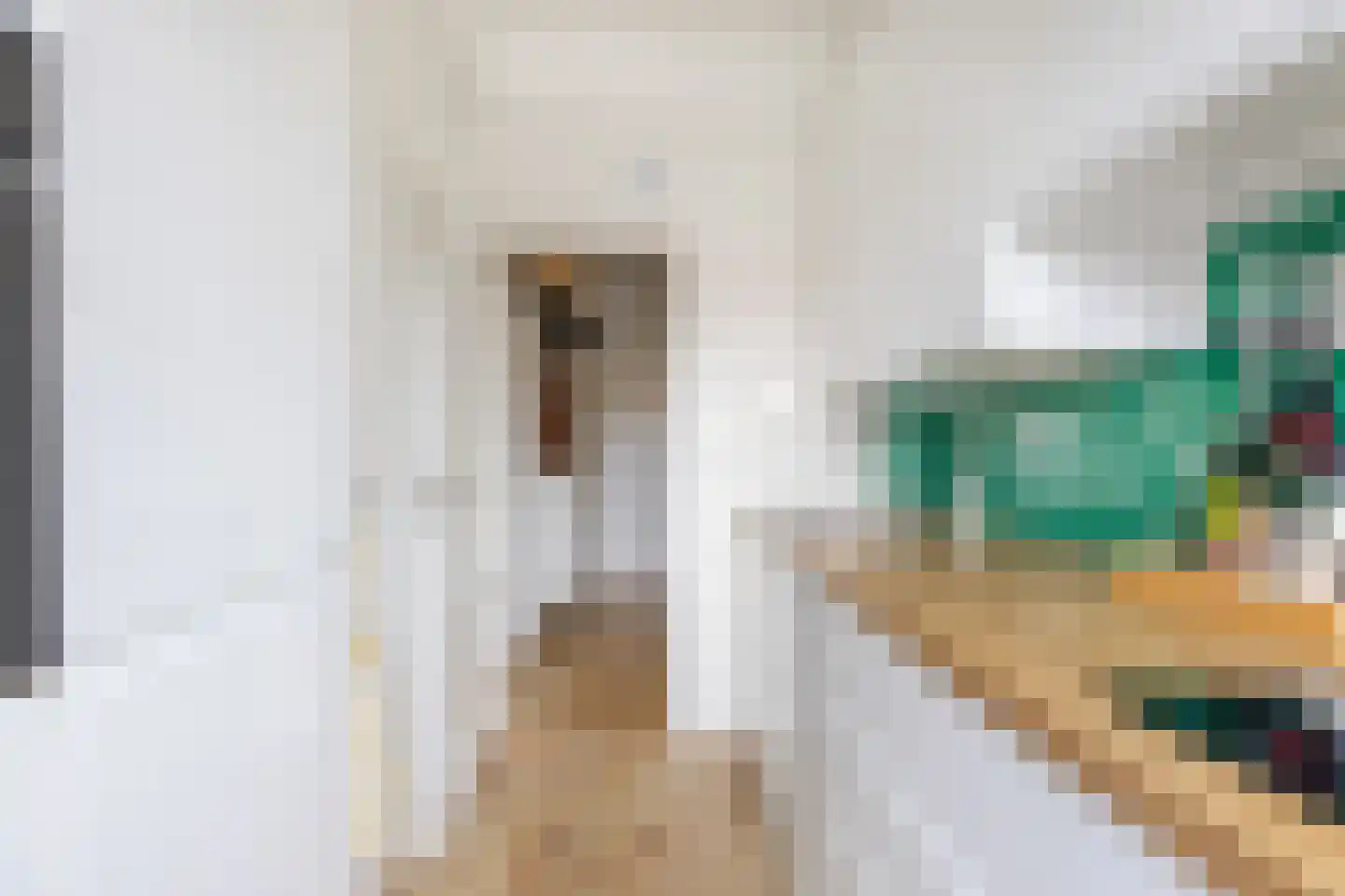 Veeteeltstraat 44 B Amsterdam thumbnail 8