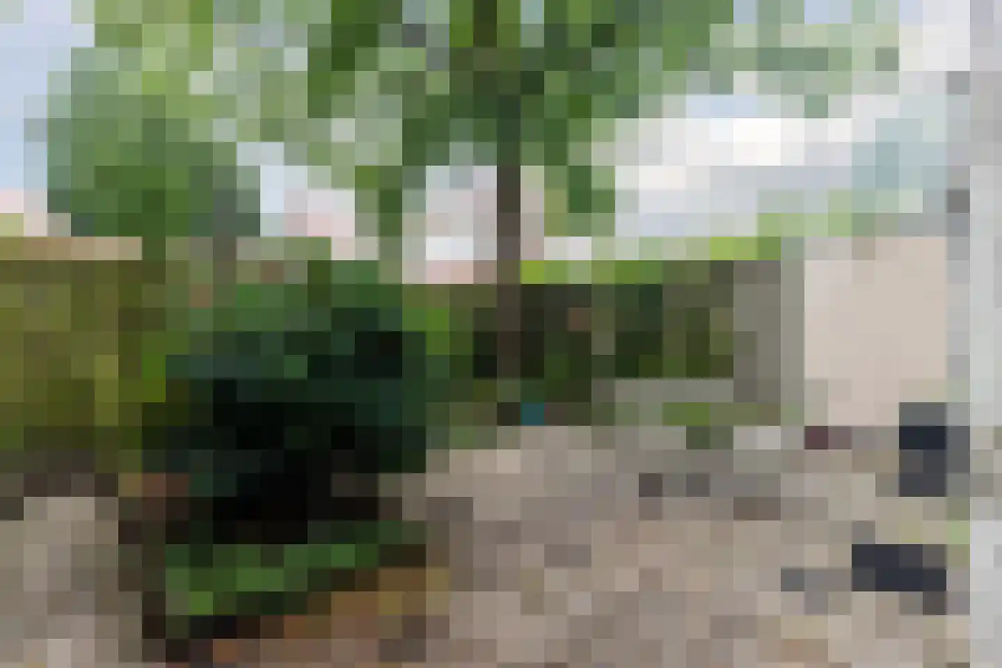 Veeteeltstraat 99 A Amsterdam thumbnail 4