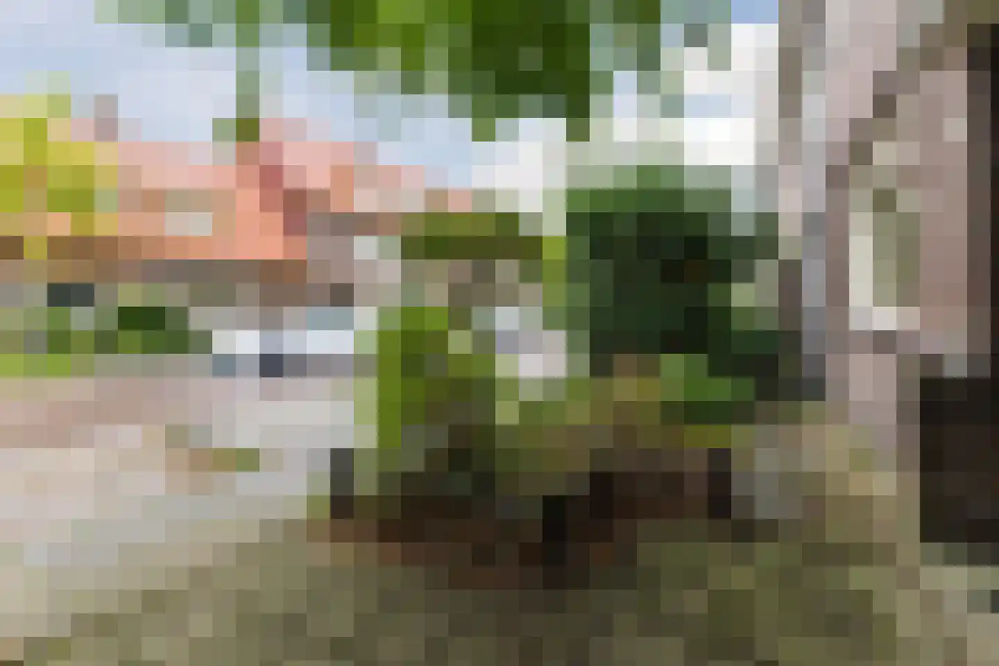 Veeteeltstraat 99 A Amsterdam thumbnail 7