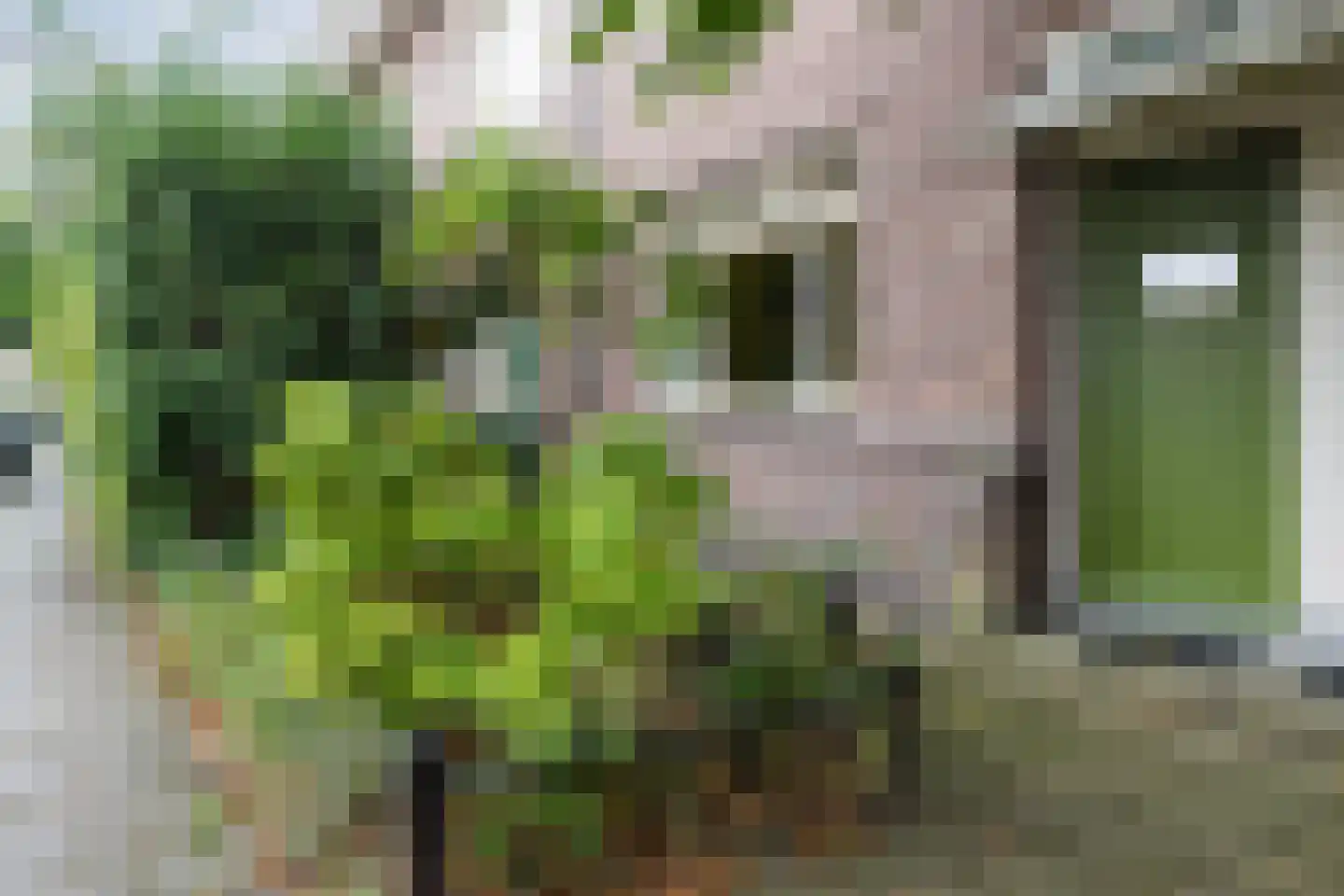 Veeteeltstraat 99 A Amsterdam thumbnail 8