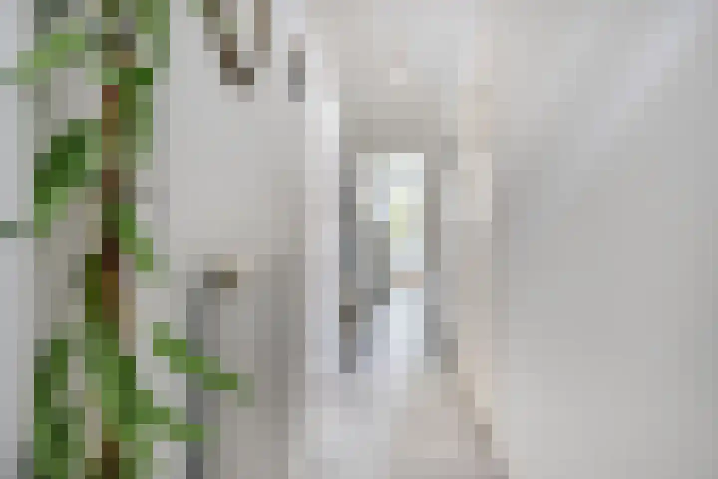 Veeteeltstraat 99 A Amsterdam thumbnail 9
