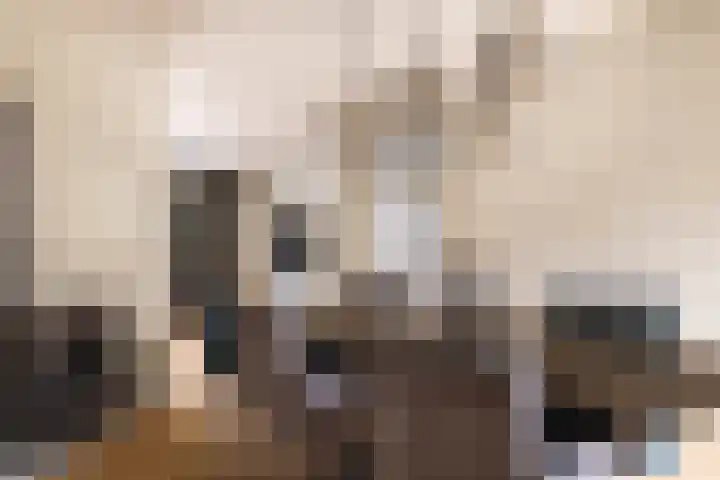 Veeweg 14 Landgraaf thumbnail 10