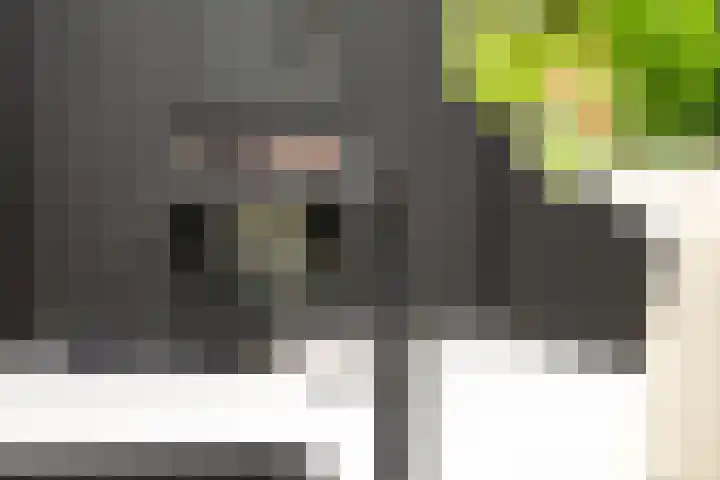 Veeweg 14 Landgraaf thumbnail 14