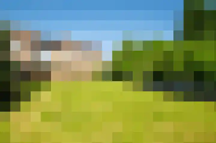 Veeweg 14 Landgraaf thumbnail 32