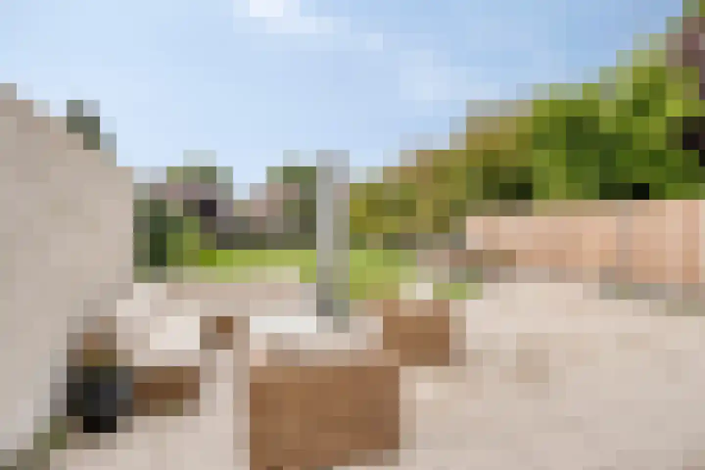 Veeweg 17 Landgraaf thumbnail 23