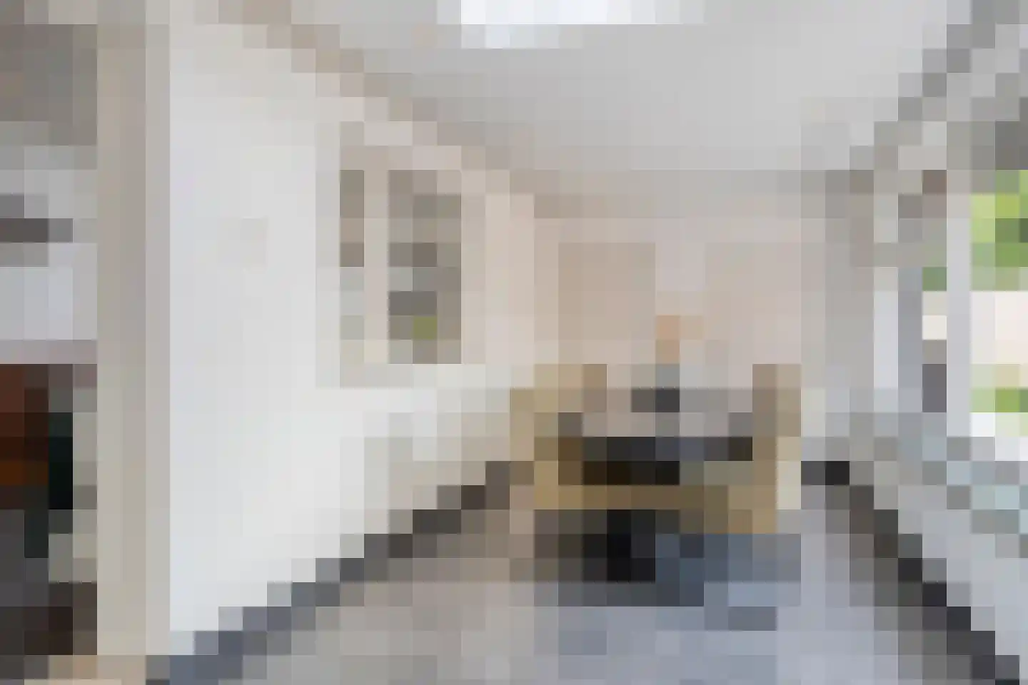 Veeweg 17 Landgraaf thumbnail 7