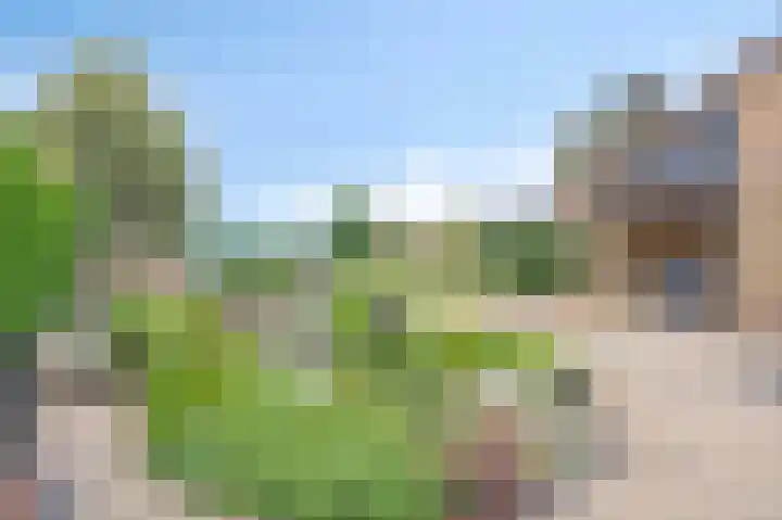 Veeweg 3 Einighausen thumbnail 26