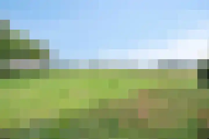 Veeweg 3 Einighausen thumbnail 32