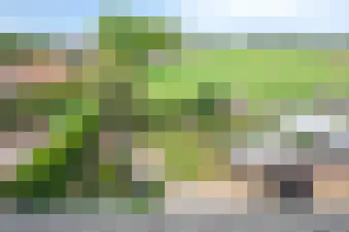 Veeweg 3 Einighausen thumbnail 47
