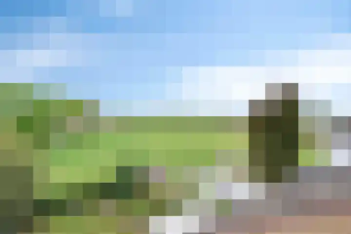 Veeweg 3 Einighausen thumbnail 48
