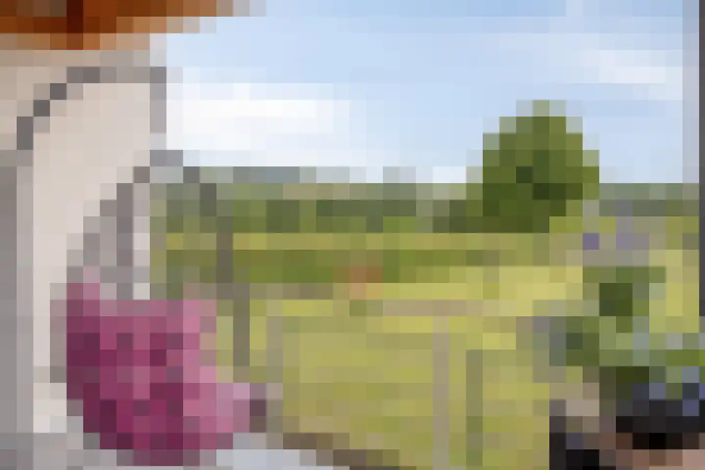 Veeweg 4 Schin op Geul thumbnail 19