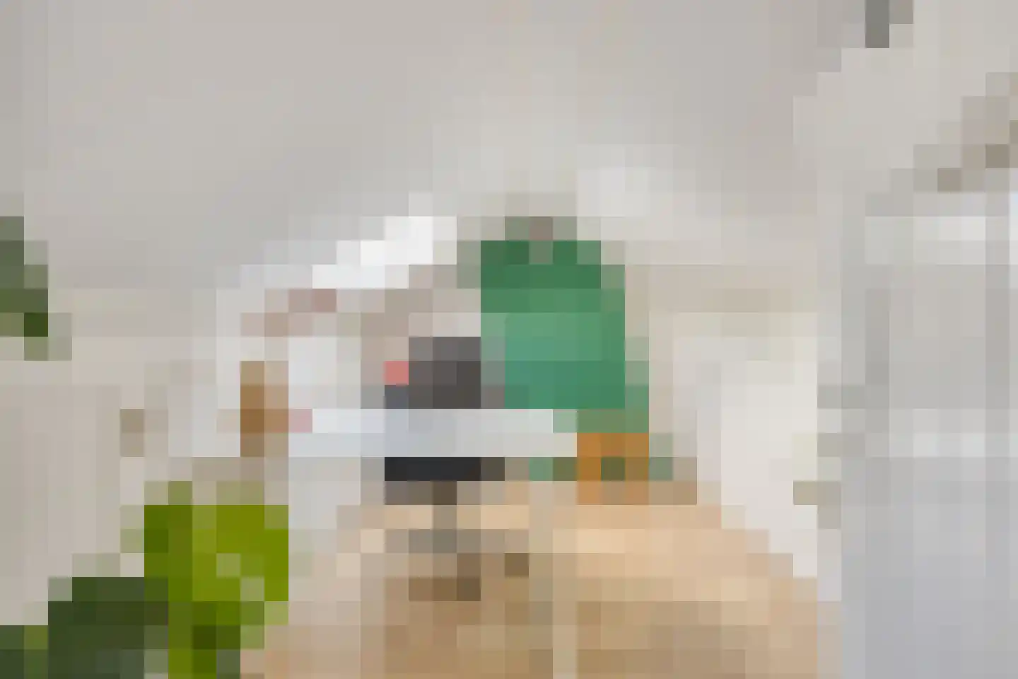 Veeweg 4 Schin op Geul thumbnail 31