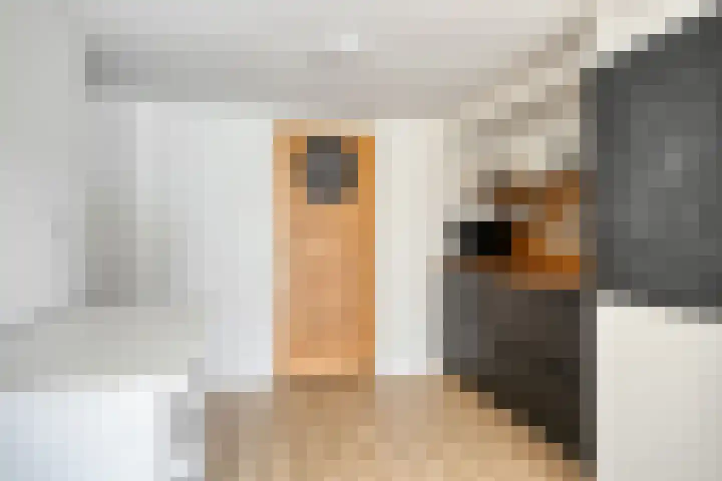 Veeweg 4 Schin op Geul thumbnail 40
