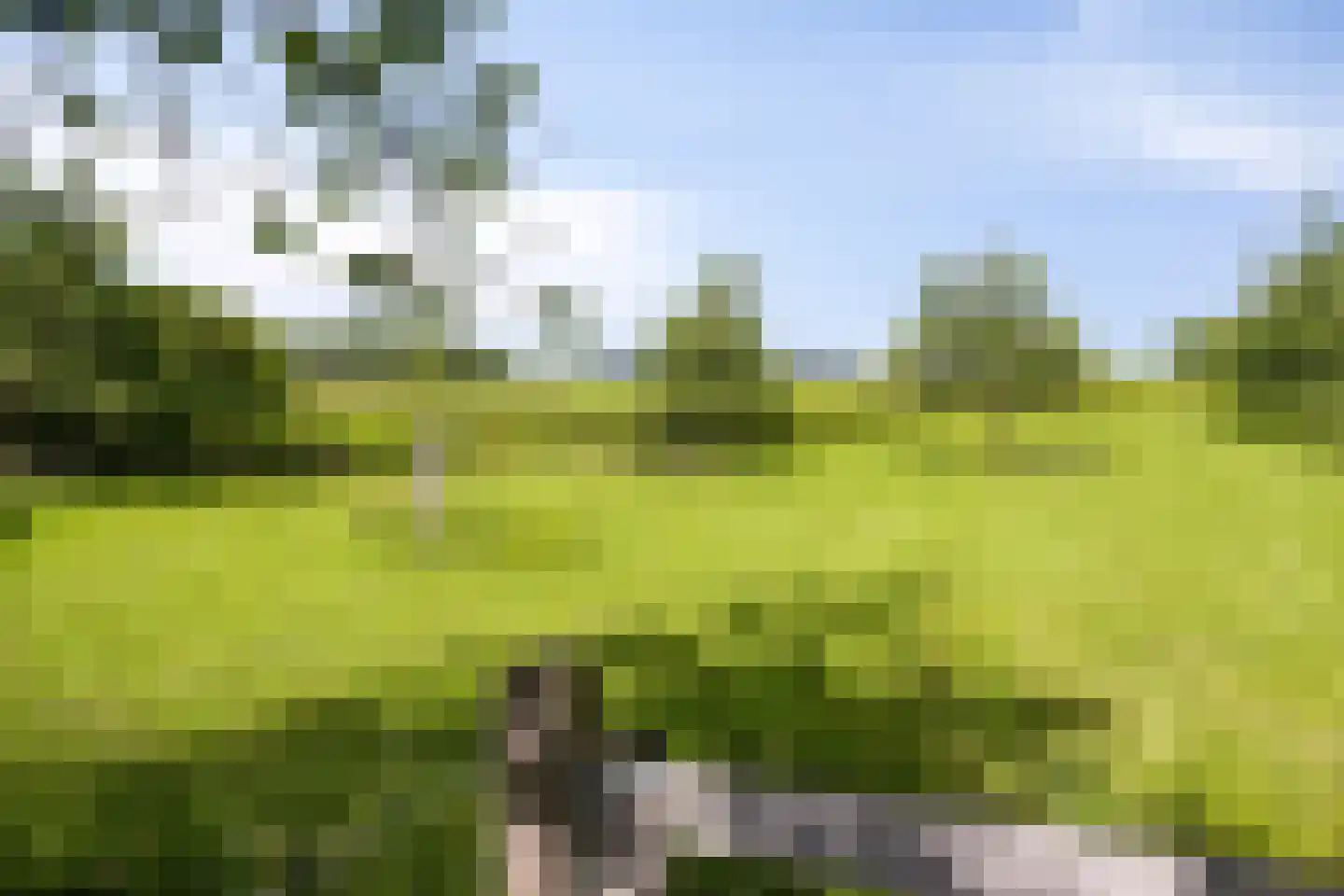 Veeweg 4 Schin op Geul thumbnail 46