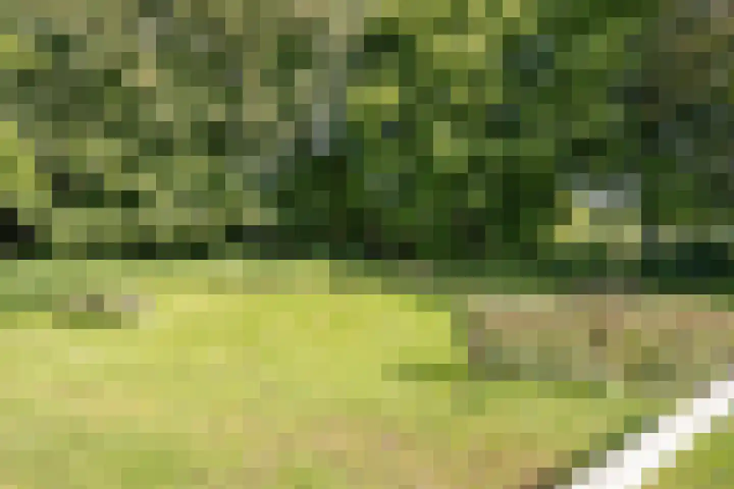 Veeweg 4 Schin op Geul thumbnail 47