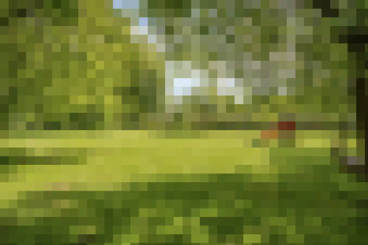 Veeweg 4 Schin op Geul thumbnail 48