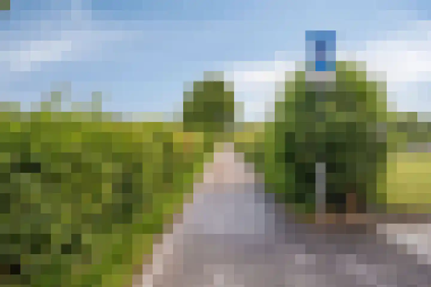 Veeweg 4 Schin op Geul thumbnail 51